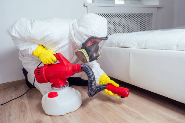 Best Pest Prevention Services  in Cottageville, SC