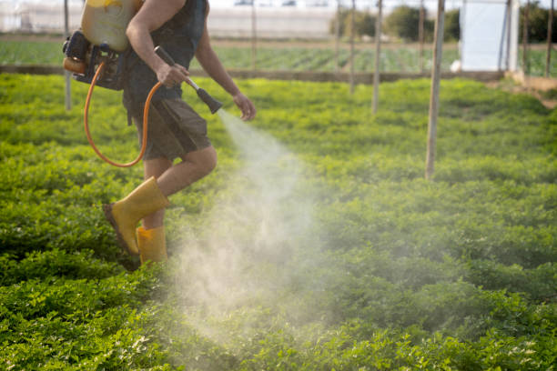 Best Affordable Exterminators  in Cottageville, SC