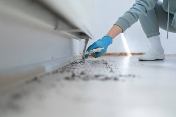Pest Control for Restaurants in Cottageville, SC